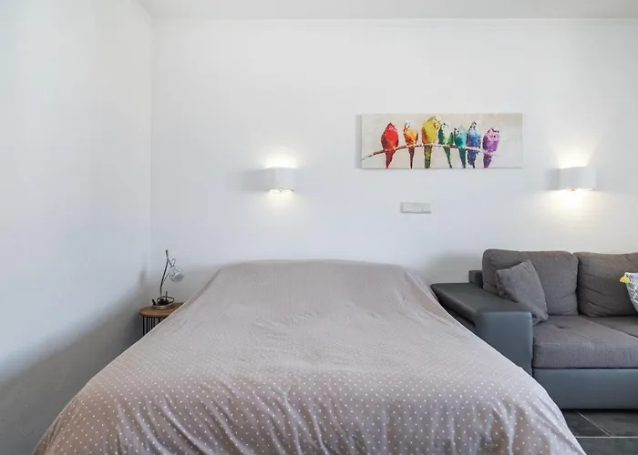 Rocha 2 Appartement *